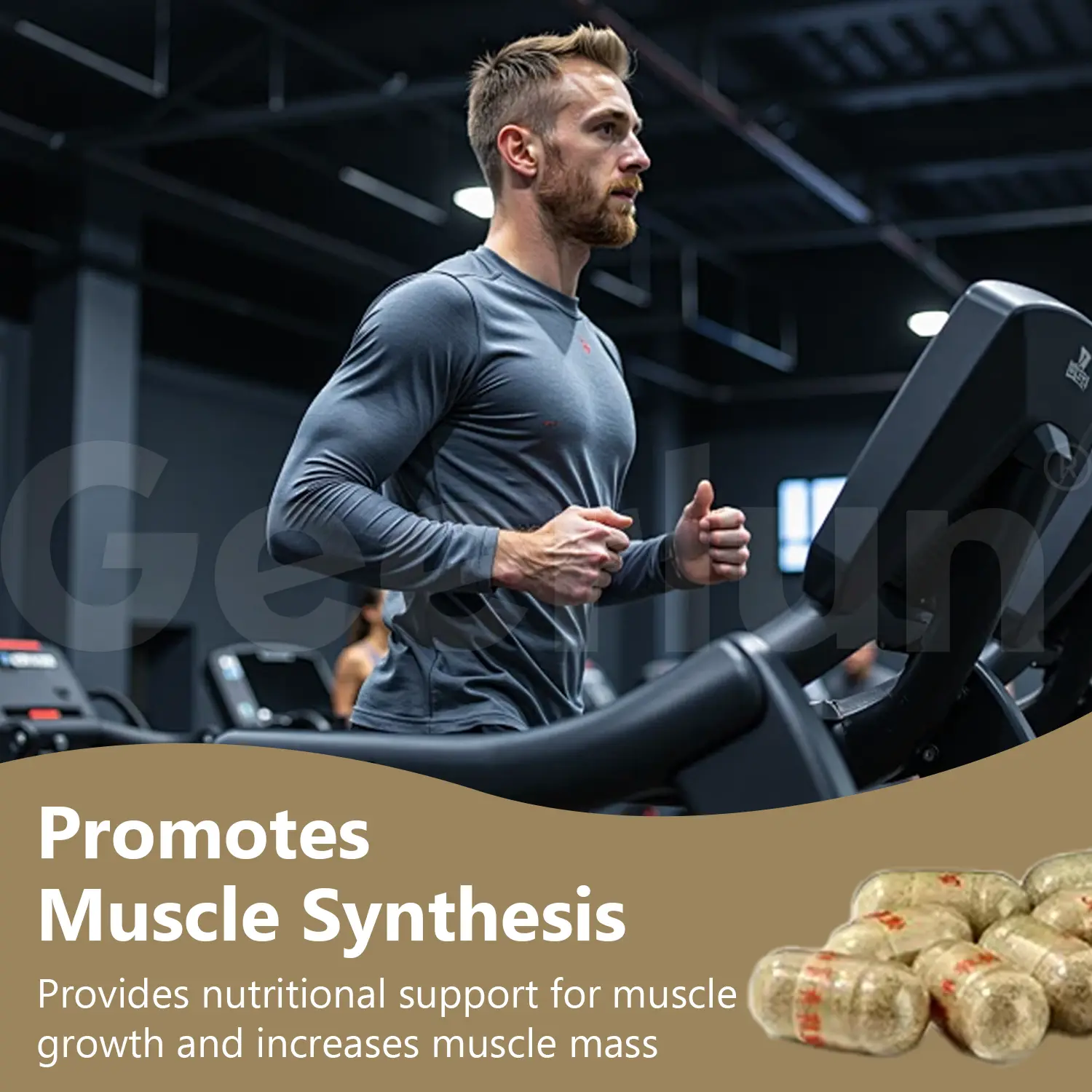 Factory Price Ginseng Formula.png