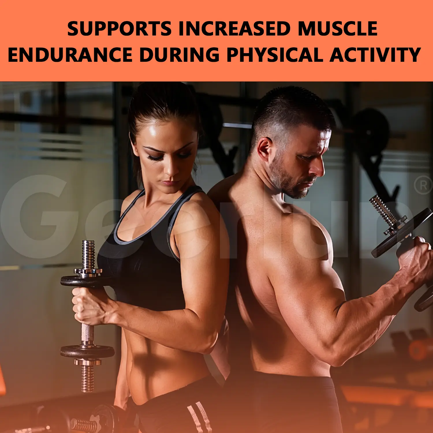 Muscle Endurance Weight Gain Gummies