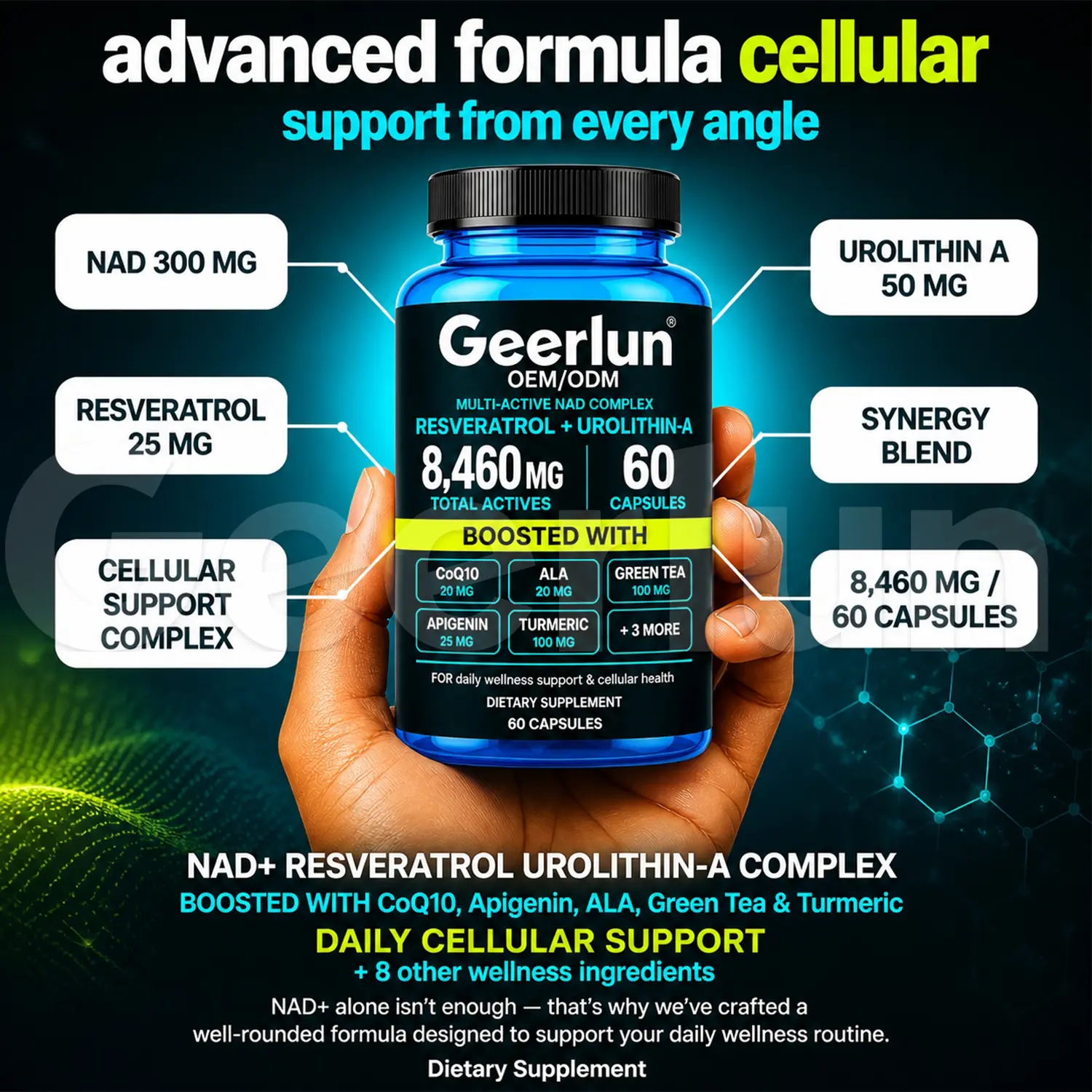 nad+ capsules support cellular health