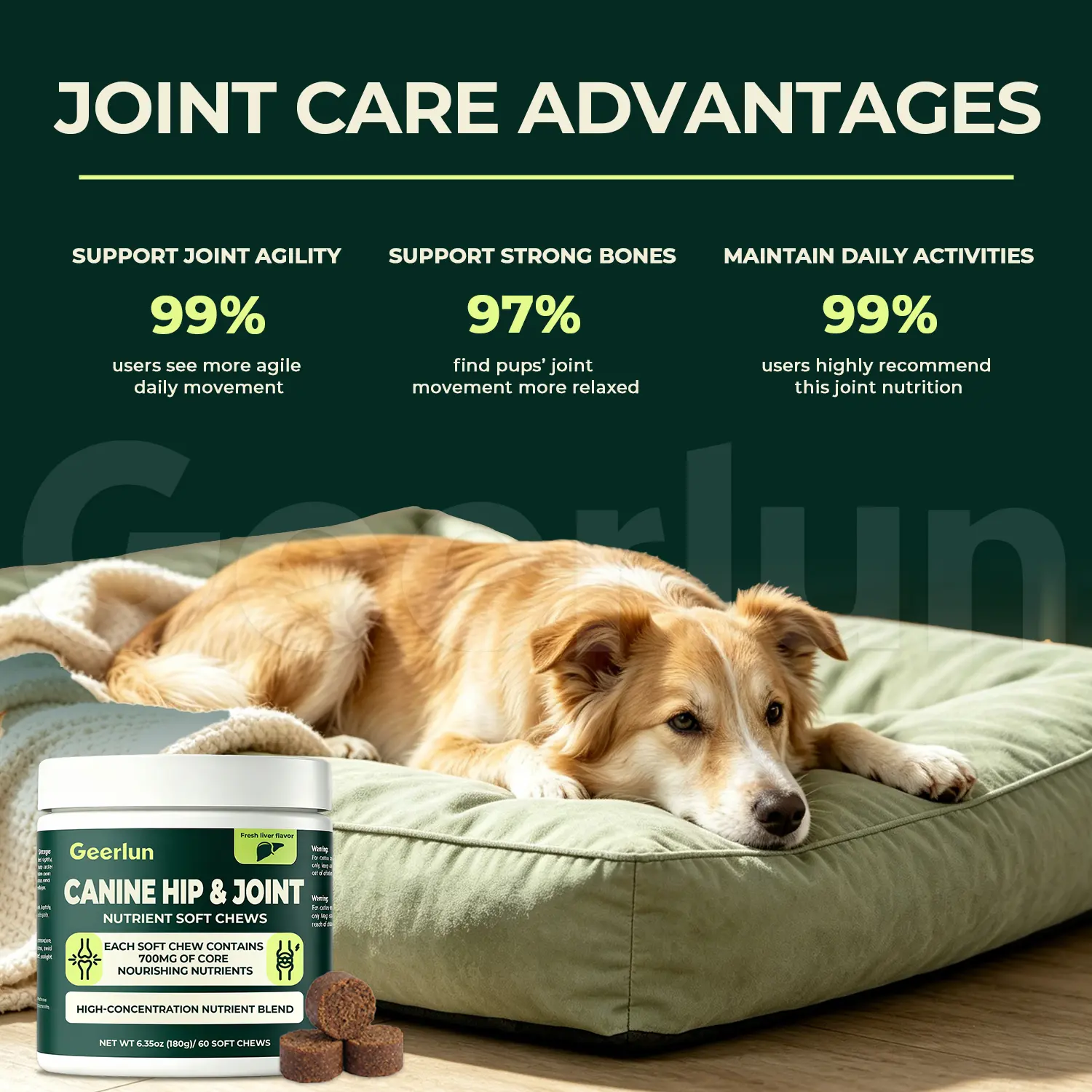 OEM Dog Hip Care Supplement Soft Treats