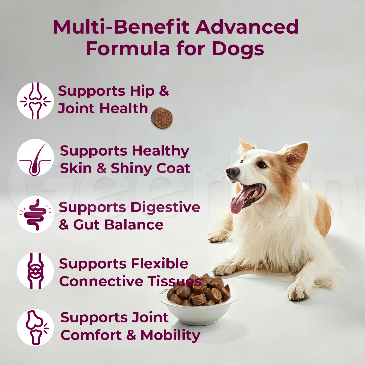 Private Label Multi Collagen Joint Dog Soft Chews