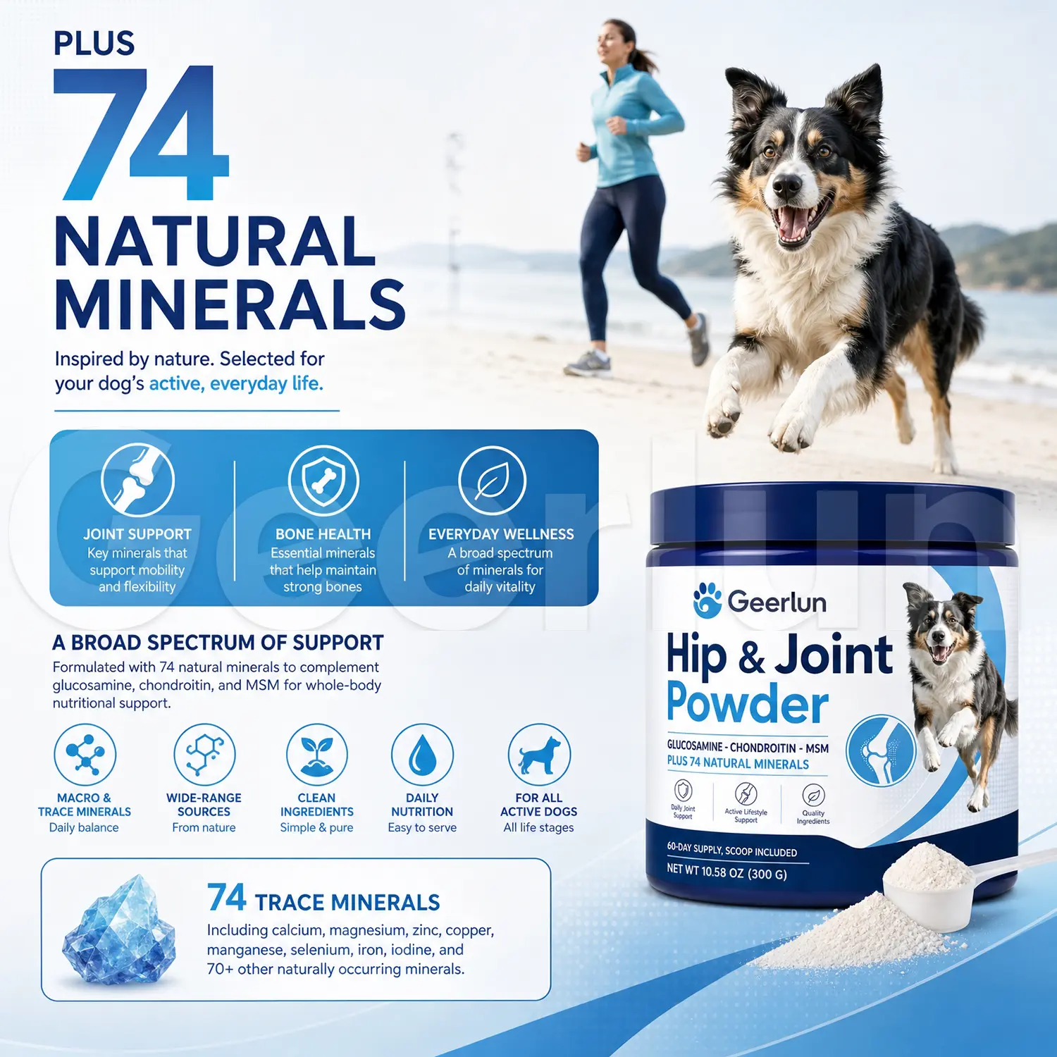 Wholesale canine mobility support powder