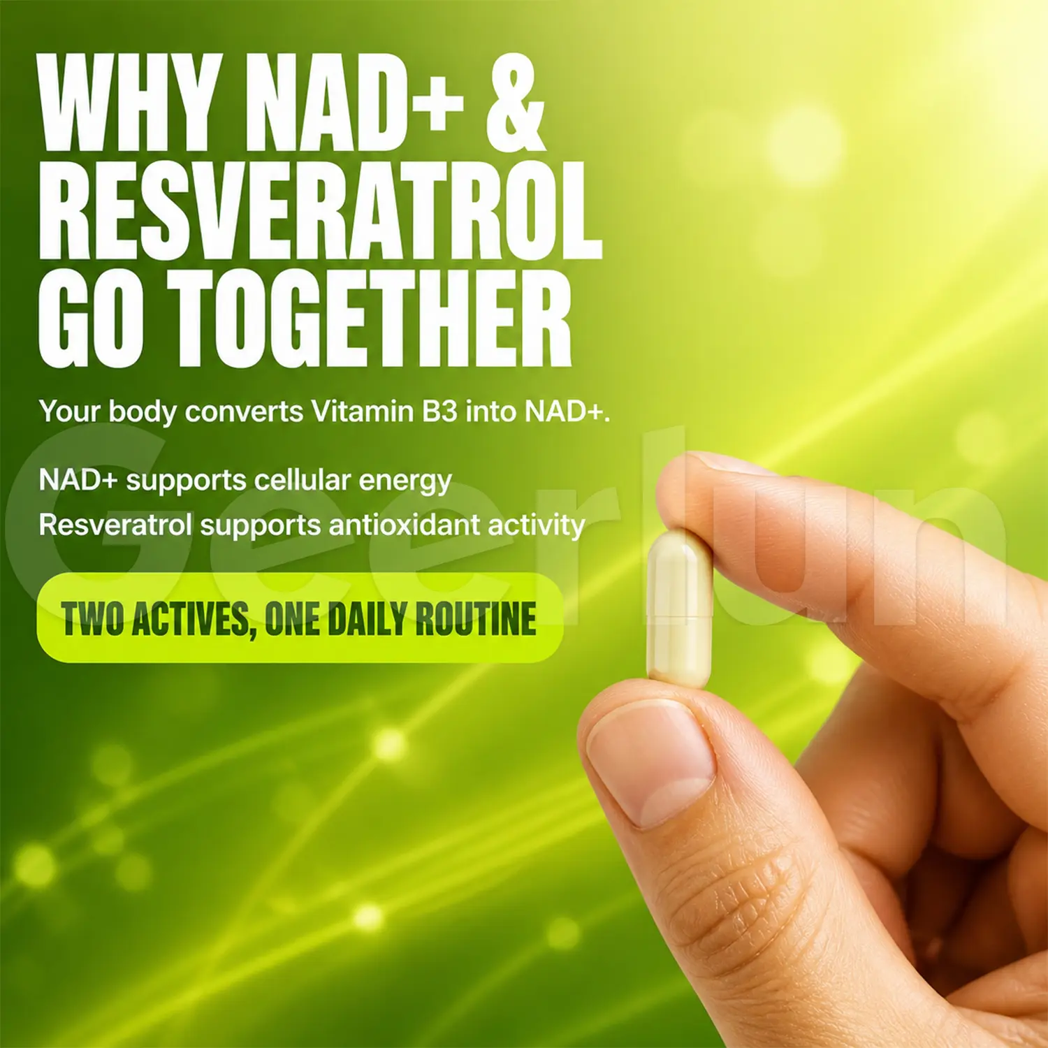 vitamin d3 nad+ antioxidant capsules