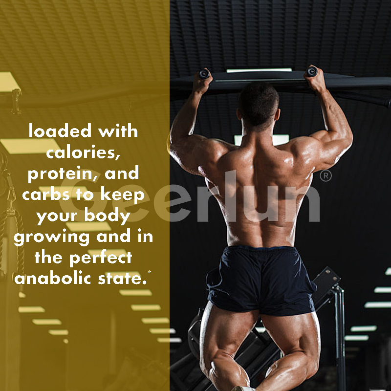 Ready Stock Ginseng Pills Capsules (2).jpg