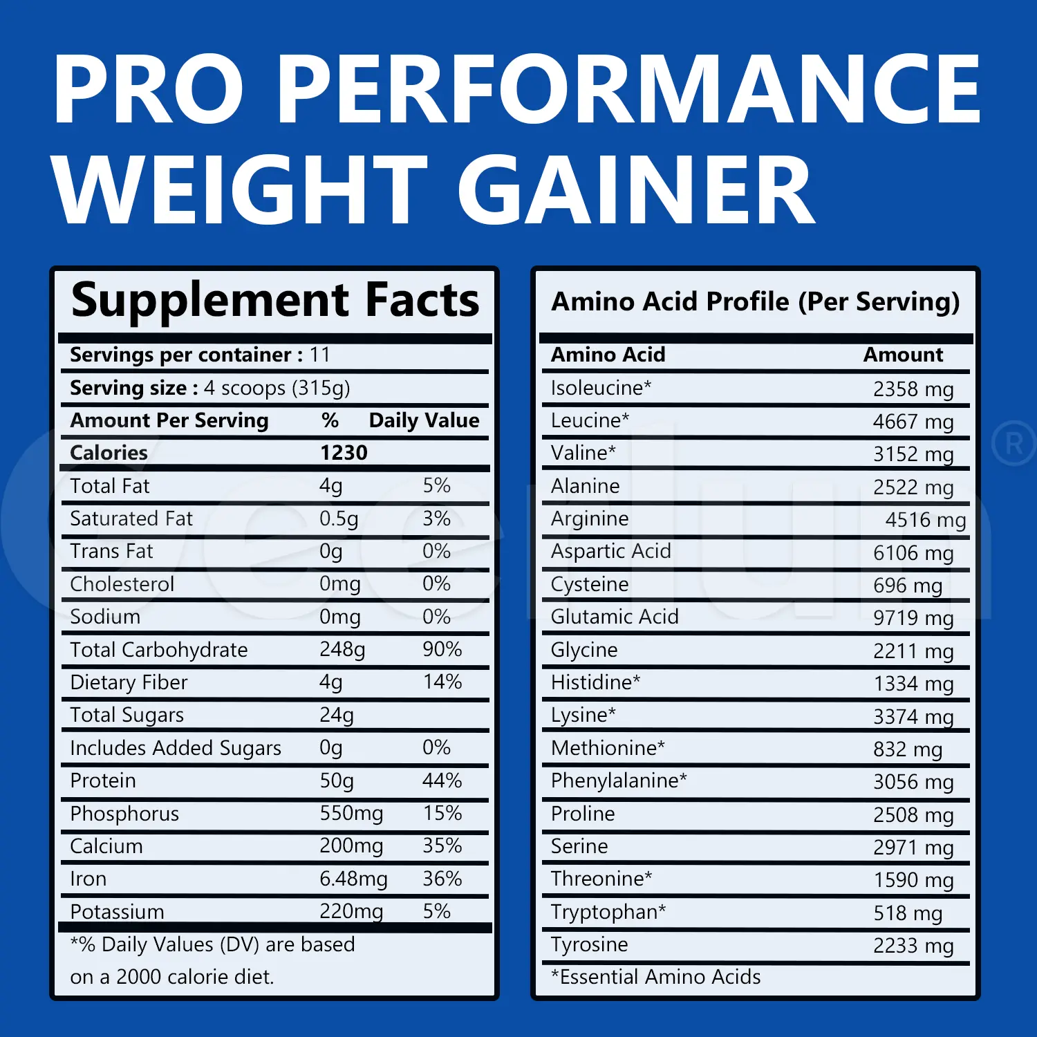 Bulk High Protein Mass Gainer.png