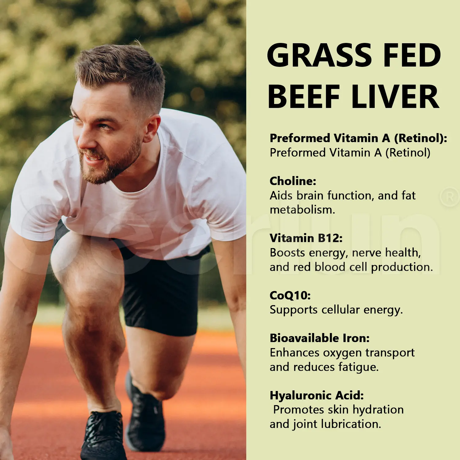 Grass Fed Liver Wholesale Supply.png
