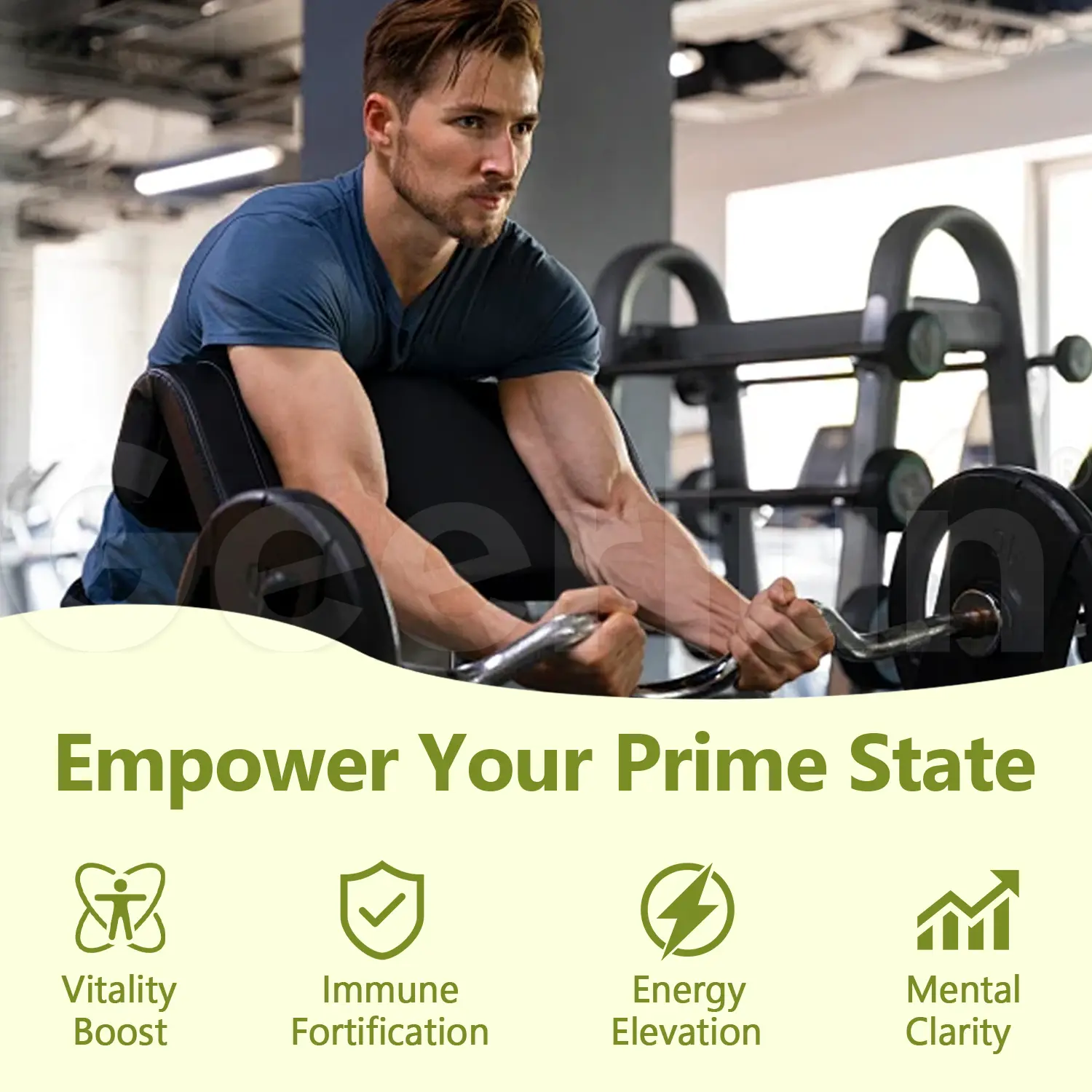 Factory Price Ginseng Supplements.png