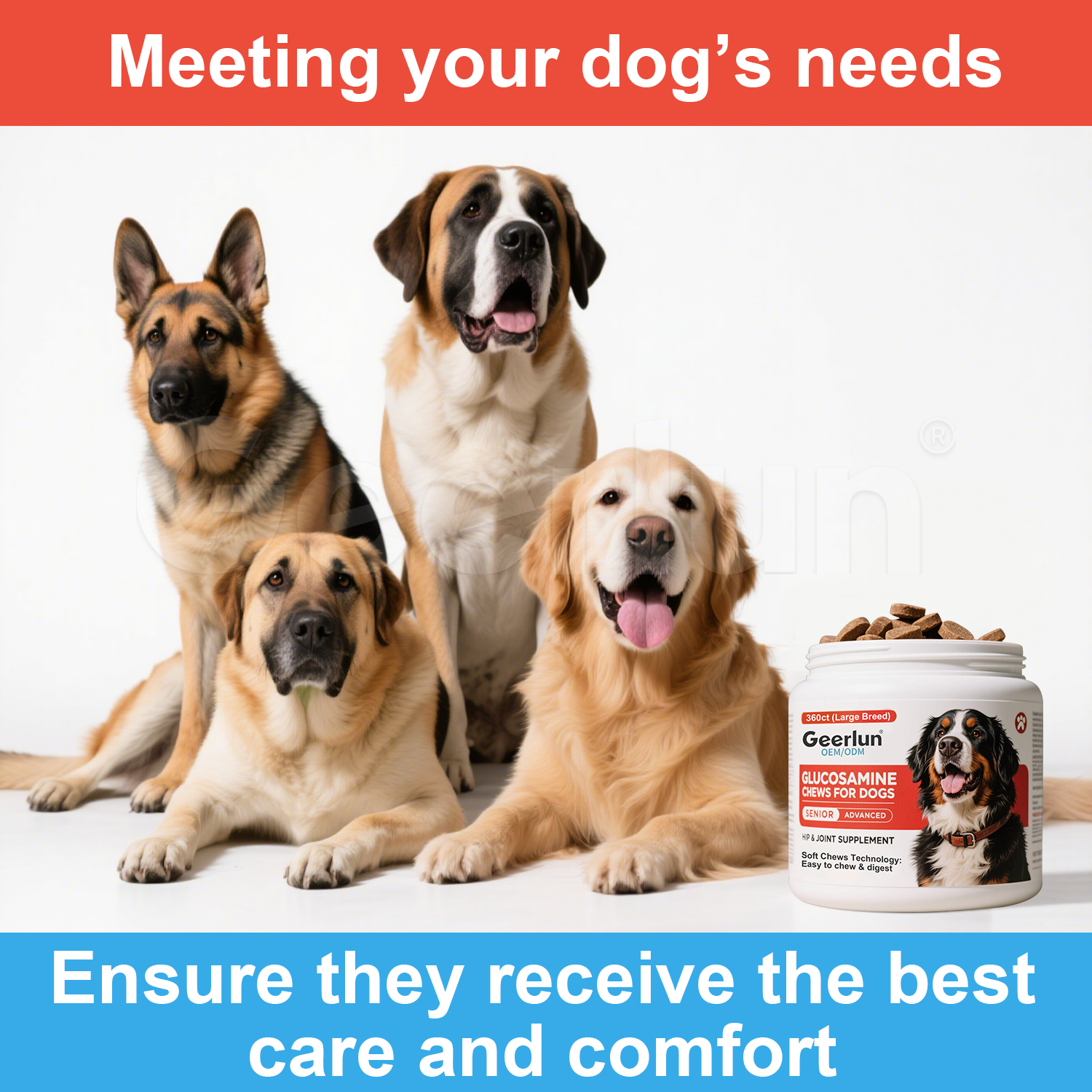 Wholesale Hip Joint Soft Chews for Dog