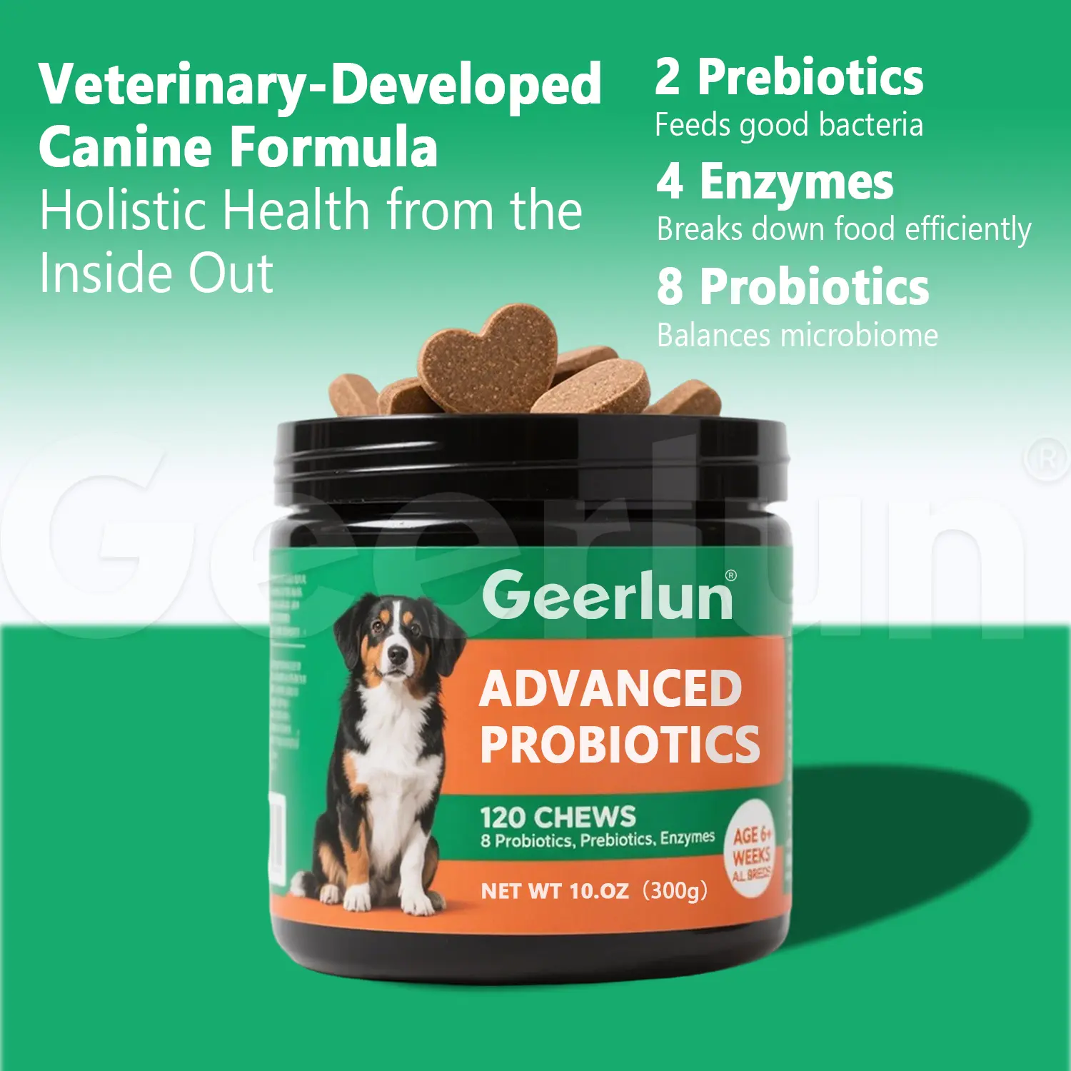 Custom Dog Digestive Support Chews