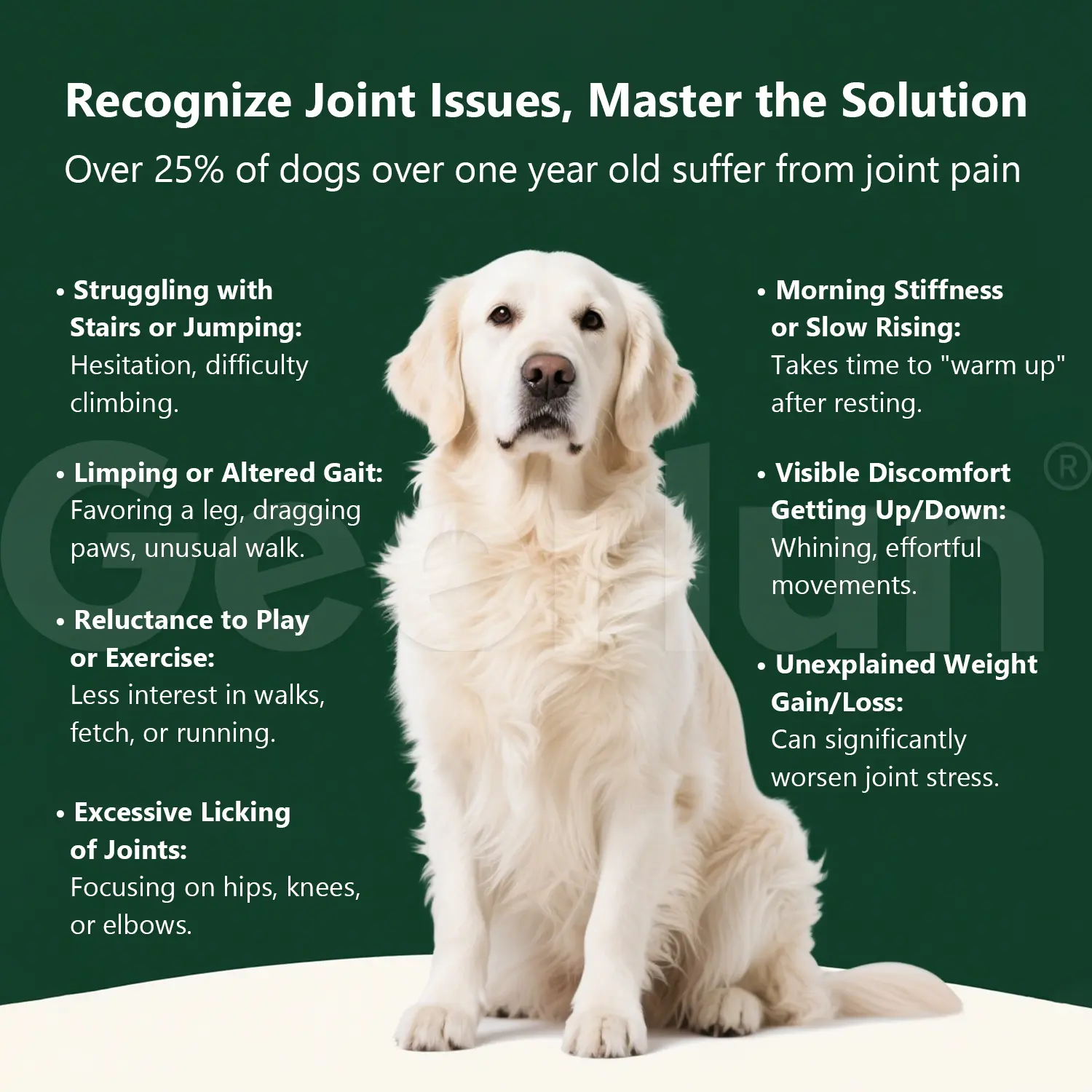 OEM Dog Joint Soft Chews