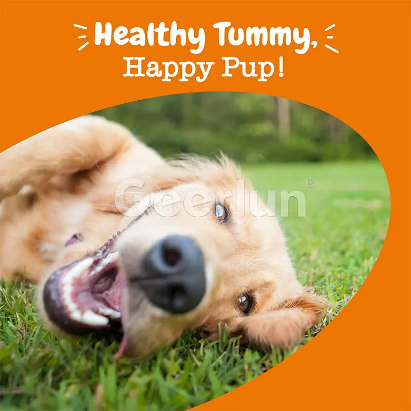 High-Potency Probiotic Chews.jpg