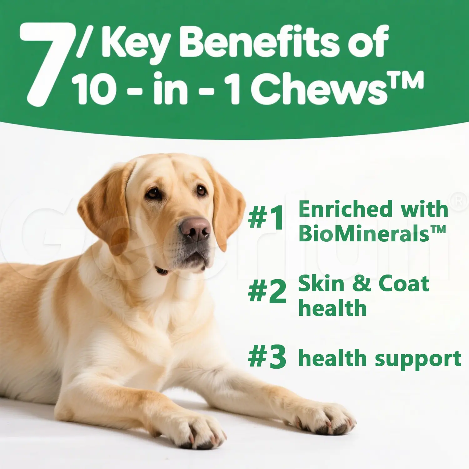 OEM 7 In 1 Dog Multivitamin Chews