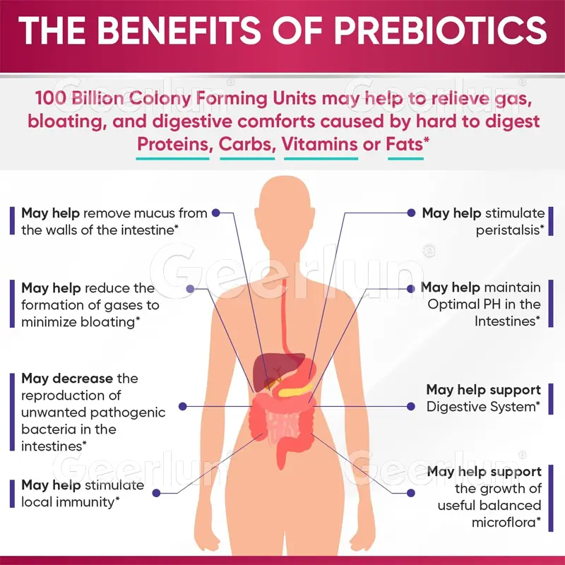 Dietary Supplements Probiotics Digestion Enzymes Capsules (5).jpg