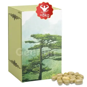 High-Quality Ginseng Root Pills