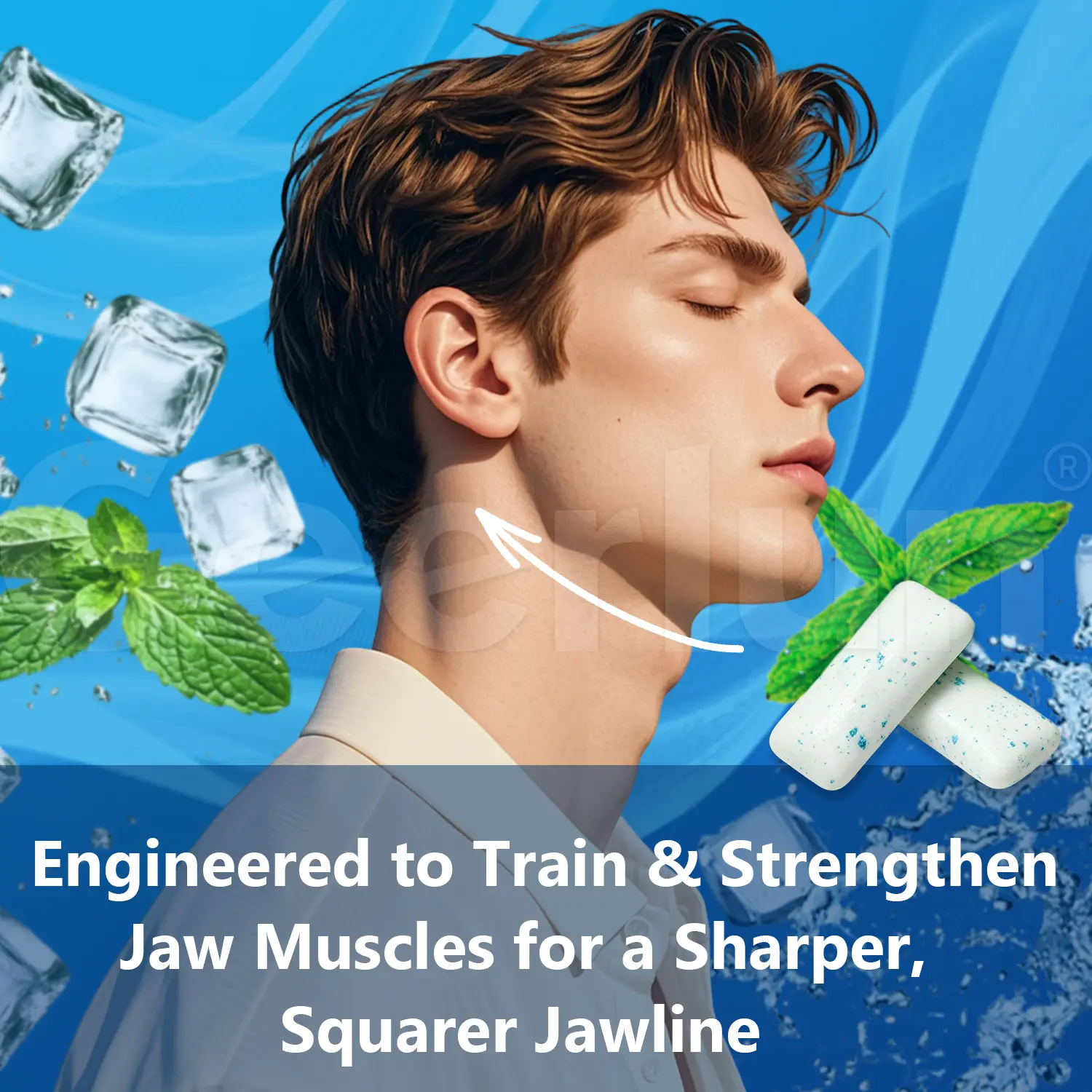 Bulk Jaw Training Gum.png