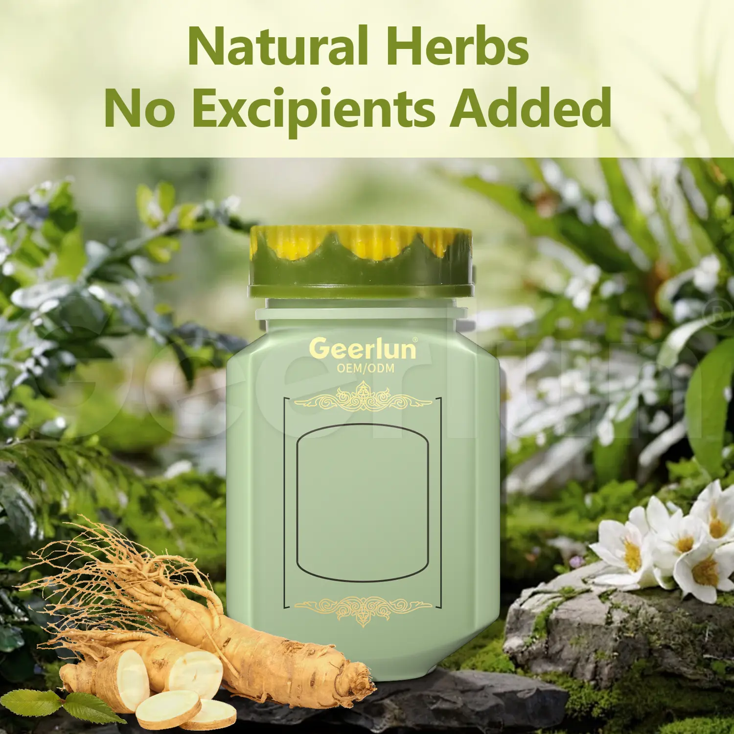 Bulk Weight Gain Capsules.png