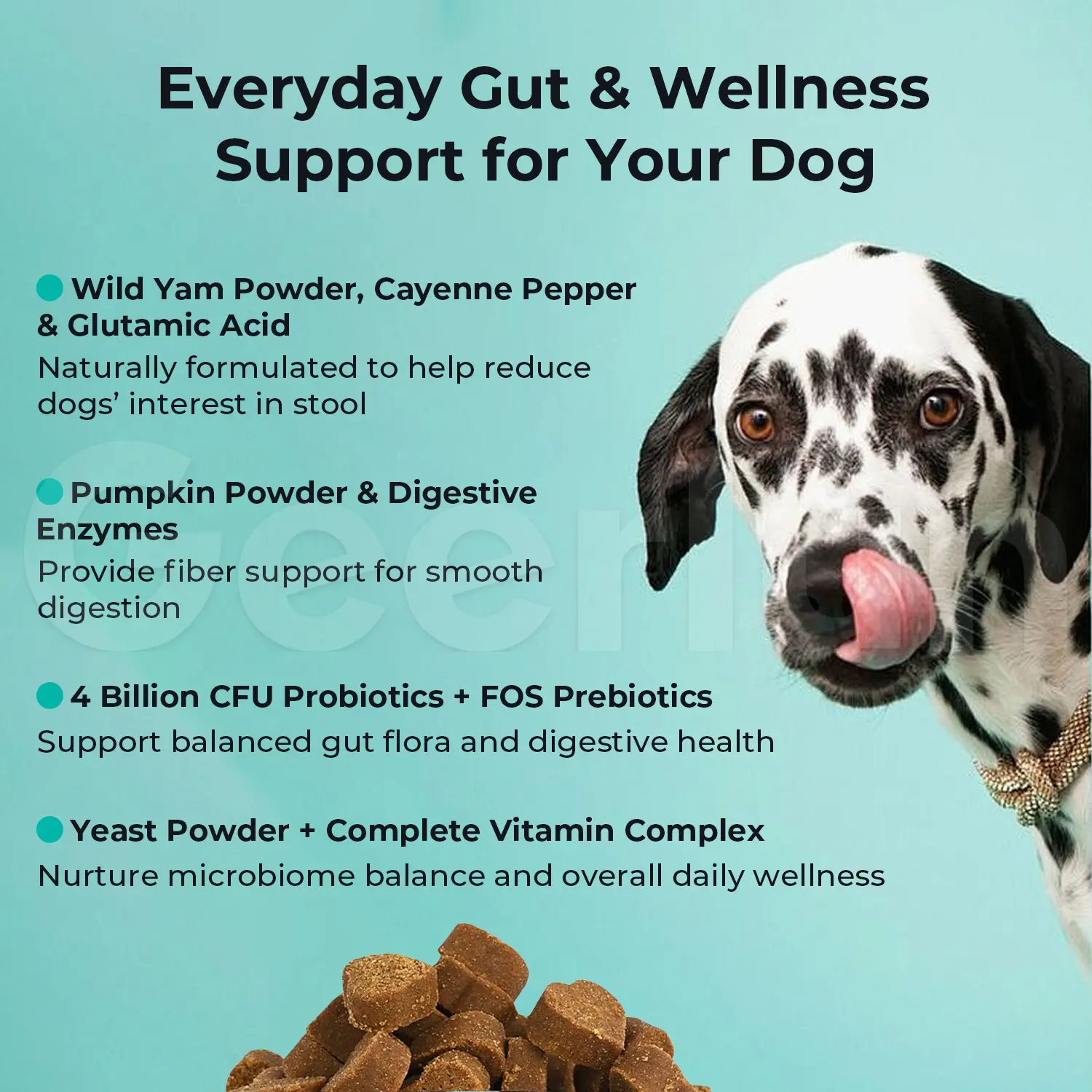 OEM Probiotic Gut Support