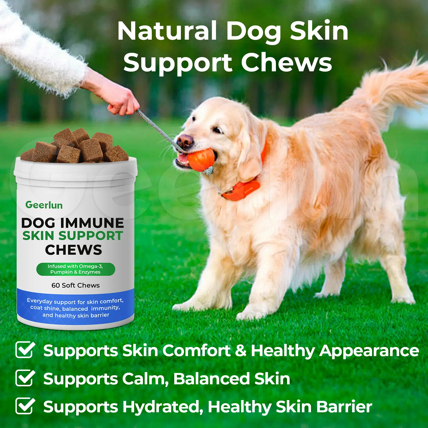 Custom Logo Skin Support Soft Chews