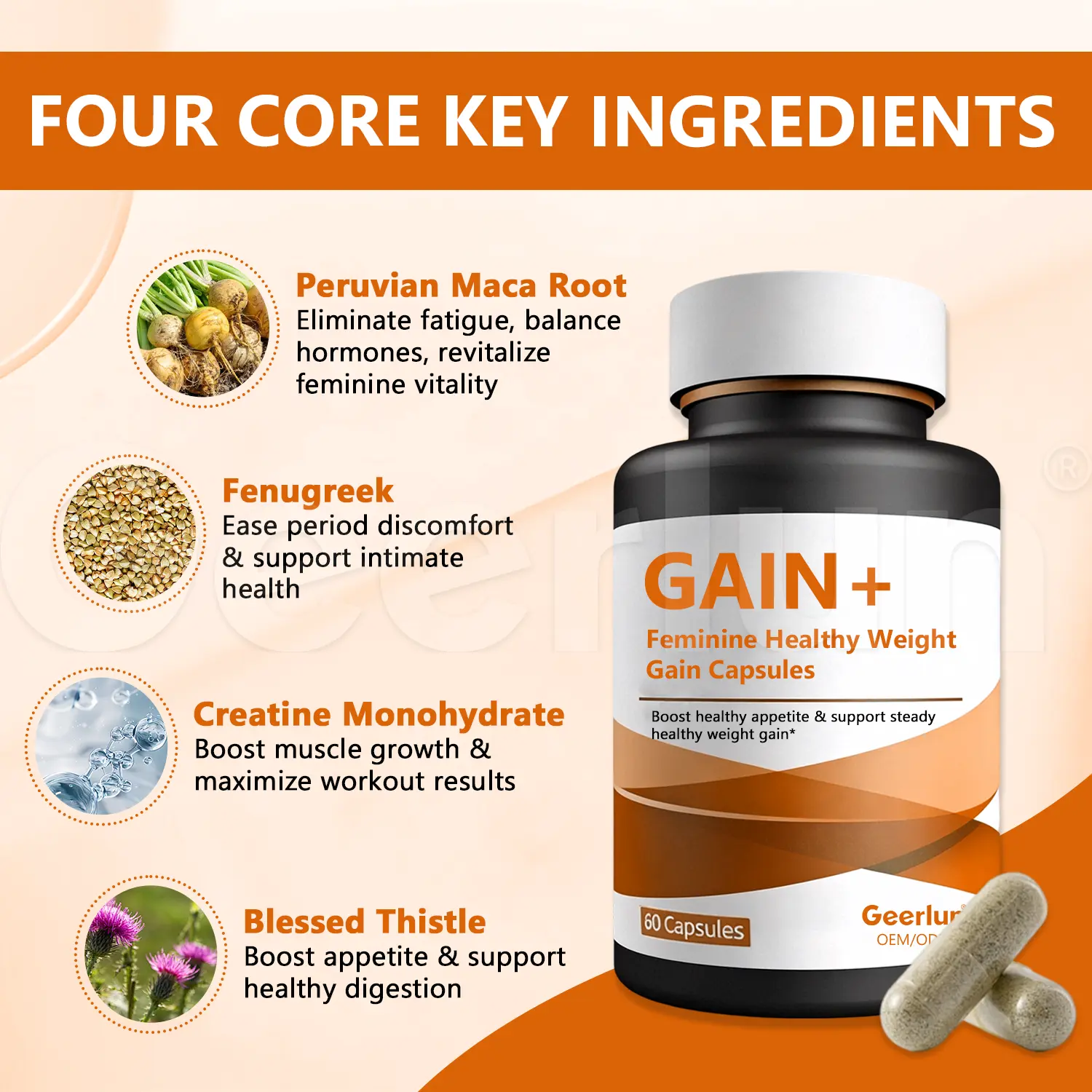GAIN+ feminine healthy weight gain capsules black bottle display with four core ingredients.png