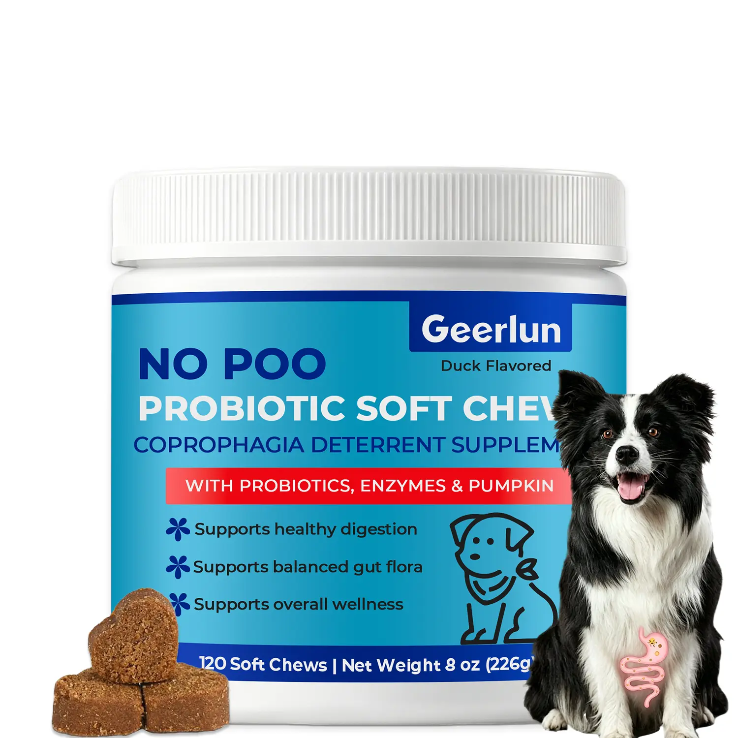 OEM Dog Probiotic Soft Chews