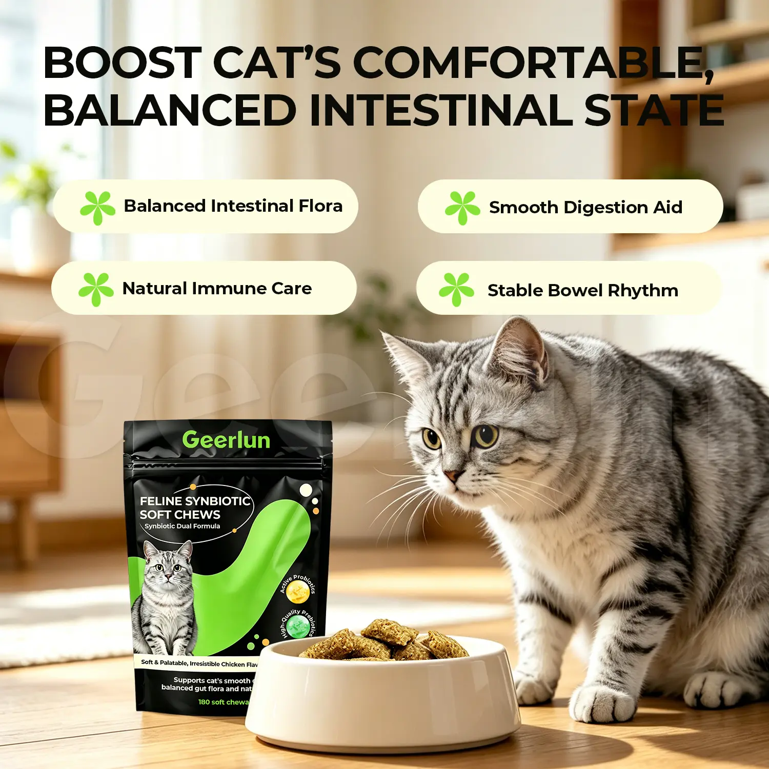 Wholesale Feline Daily Gut Supplements