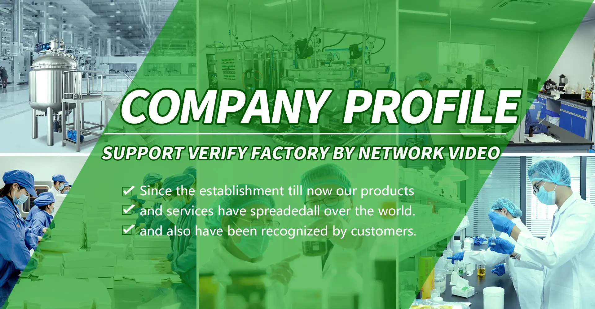 Maca Root Powder Factories