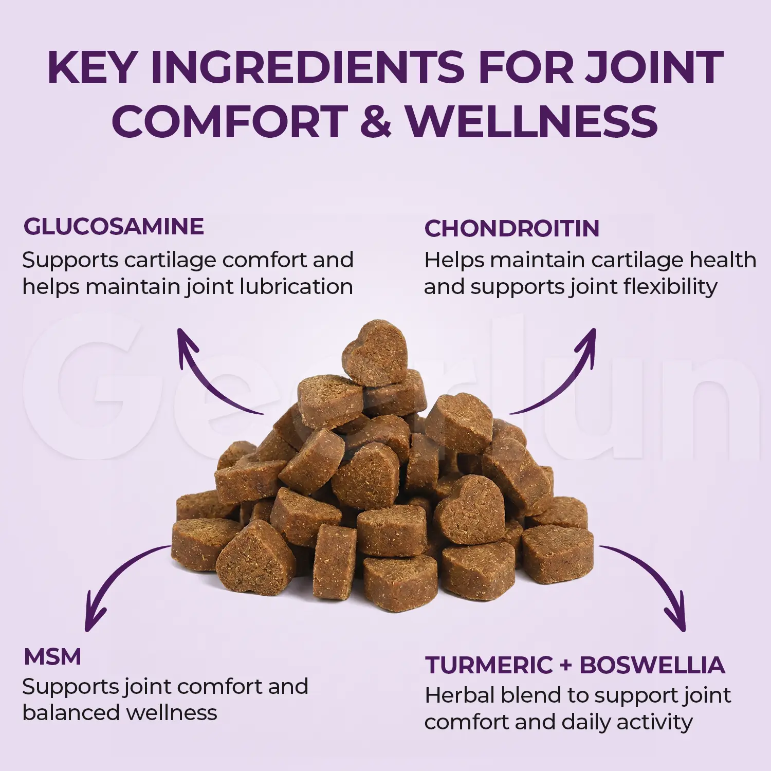 Custom Dog Hip Joint Supplements