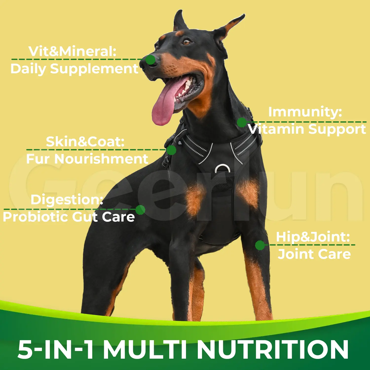 Custom Dog Coat Joint Immunity Support Chews