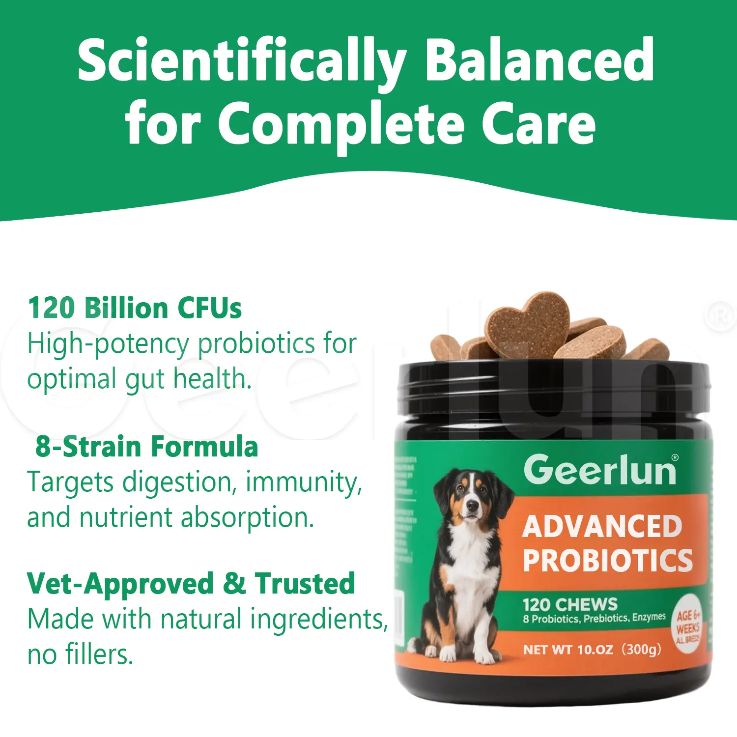 Custom Prebiotic Probiotic Dog Soft Chews