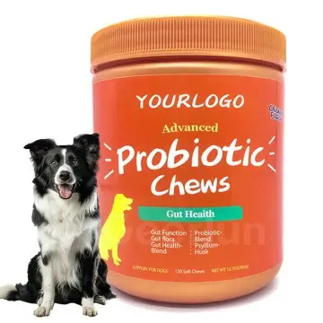 Wholesale Probiotic Soft Chew Pet Supplement