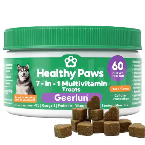 Custom Multivitamin Soft Chews for Dog