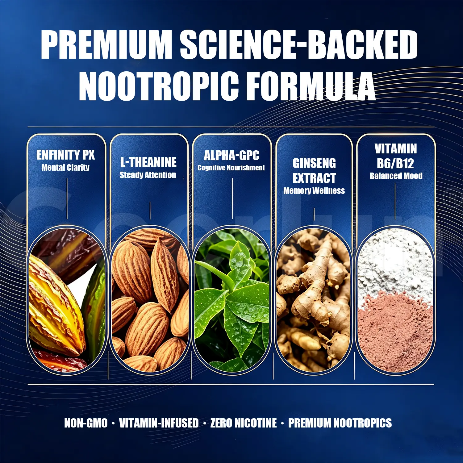 Factory Supply Brain Support Pouches