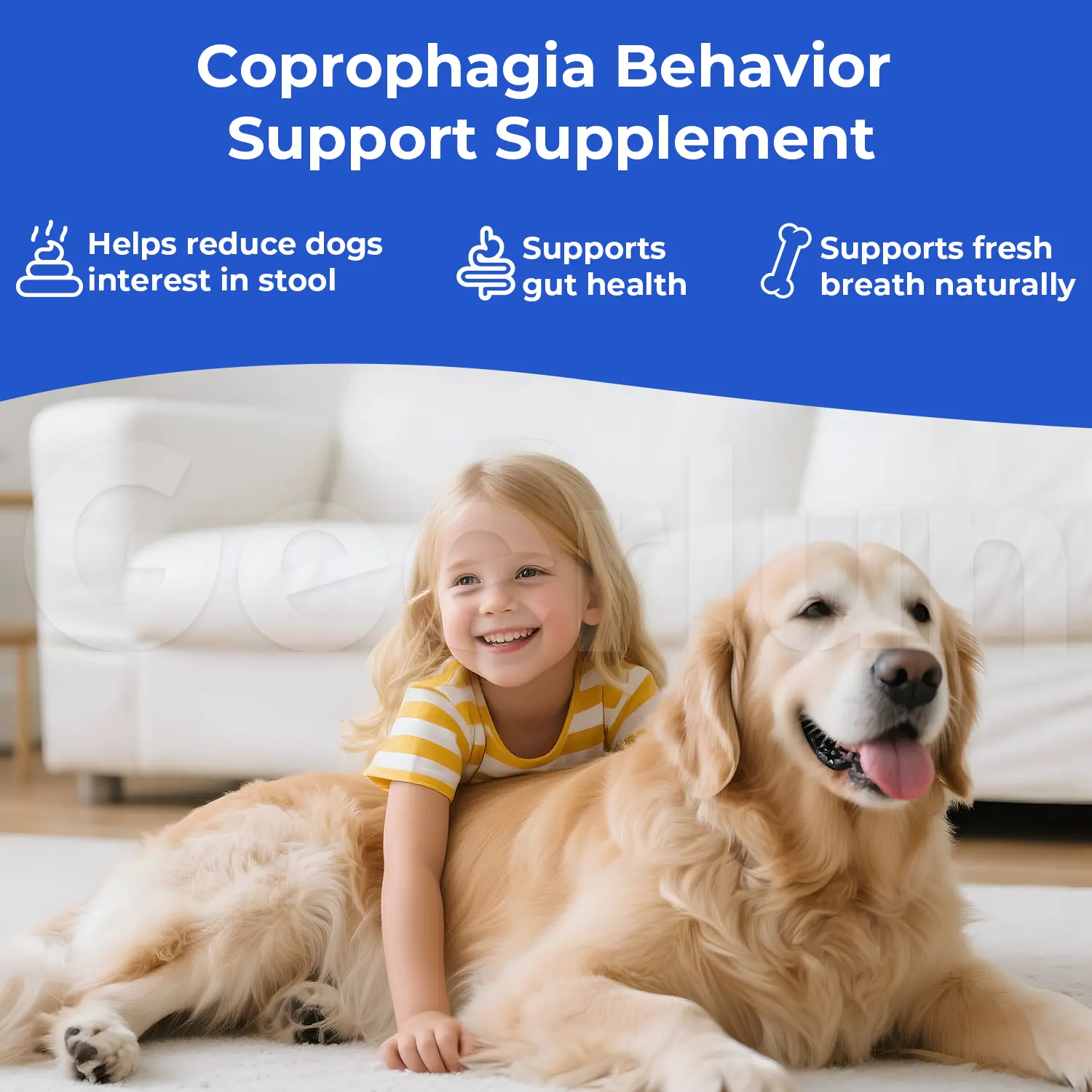 Private Coprophagia Support Soft Chews