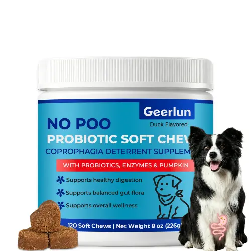 Custom Probiotic Soft Chews for Dog
