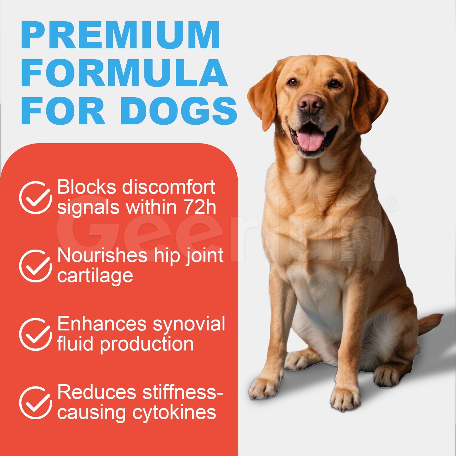 OEM Dog Joint Supplements