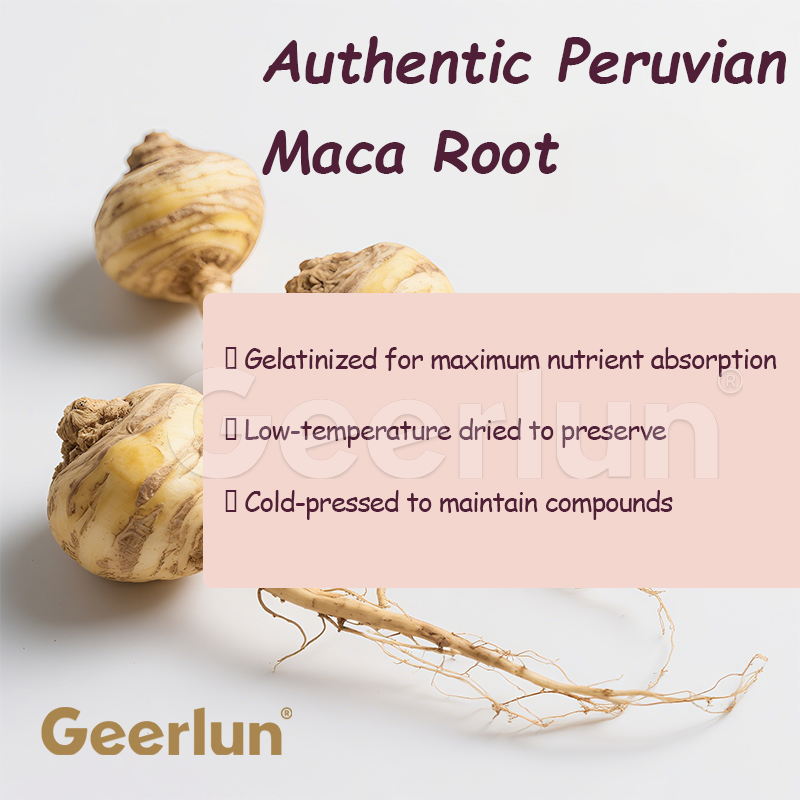 Factory Maca Supplement.jpg