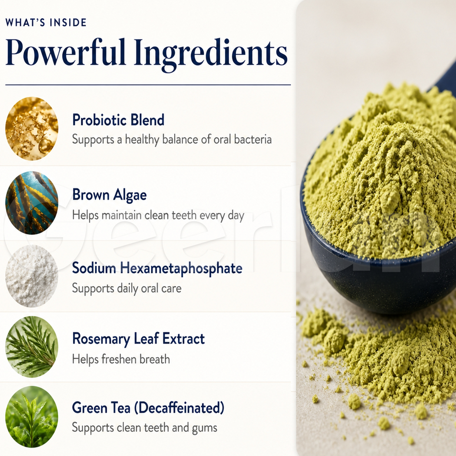 custom probiotic dental powder